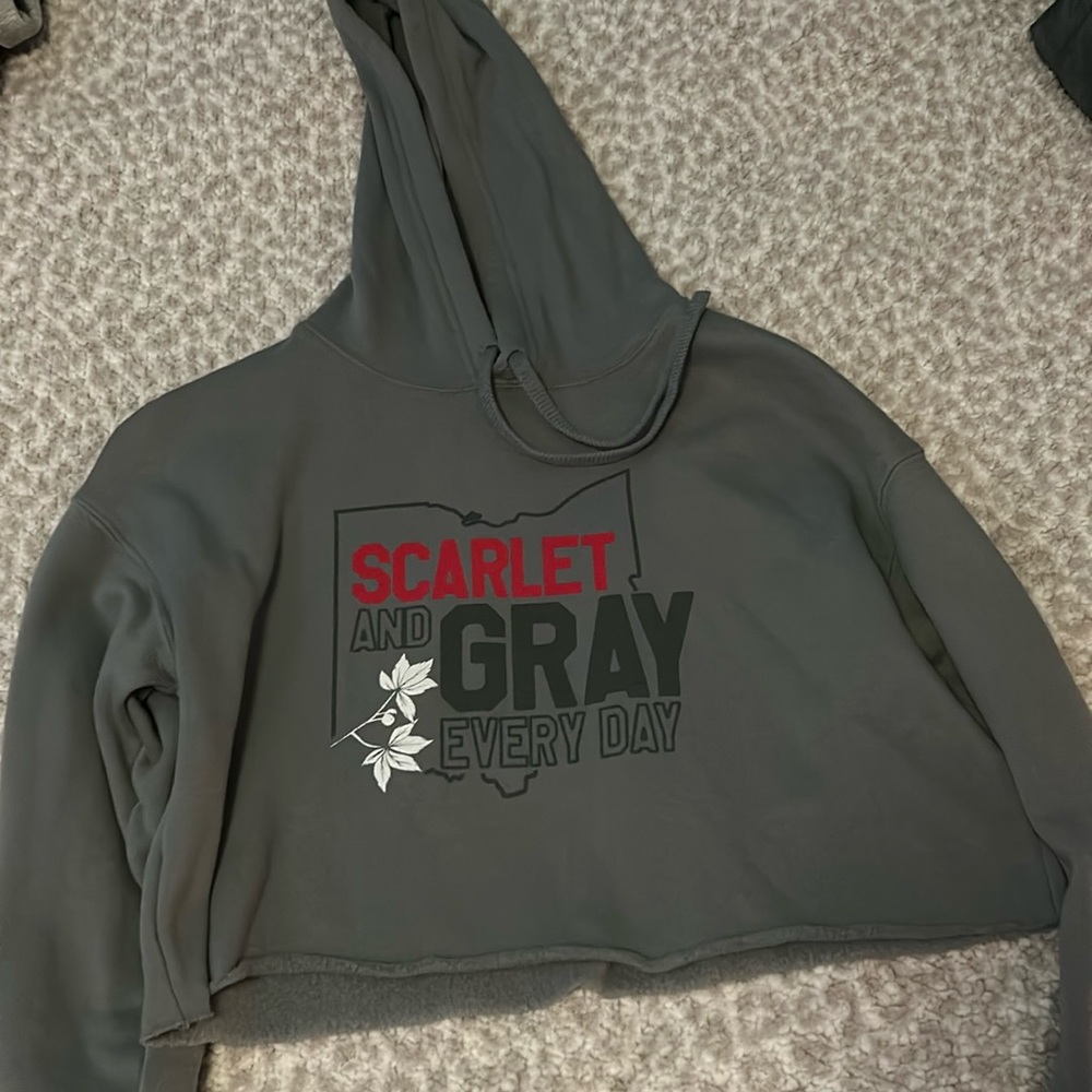 Ohio Cropped Hoodie